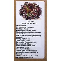 6 Degrees East Heirloom Veg Seeds - Lettuce - Salad Bowl Red